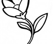 Coloriage Fleur presque ouverte