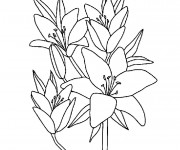 Coloriage Fleurs à télécharger