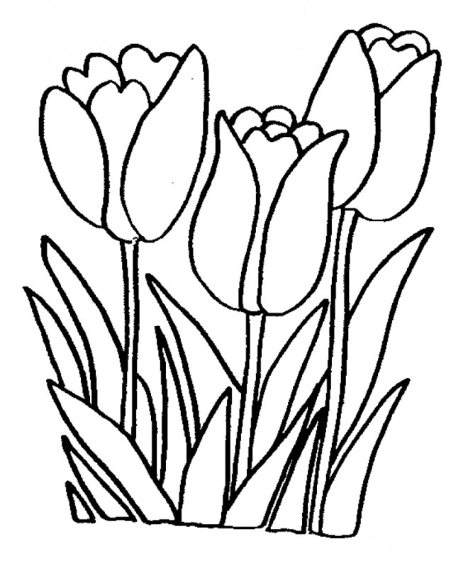 Coloriage et dessins gratuits Fleurs en ligne à imprimer