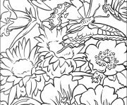 Coloriage Fleurs et papillons