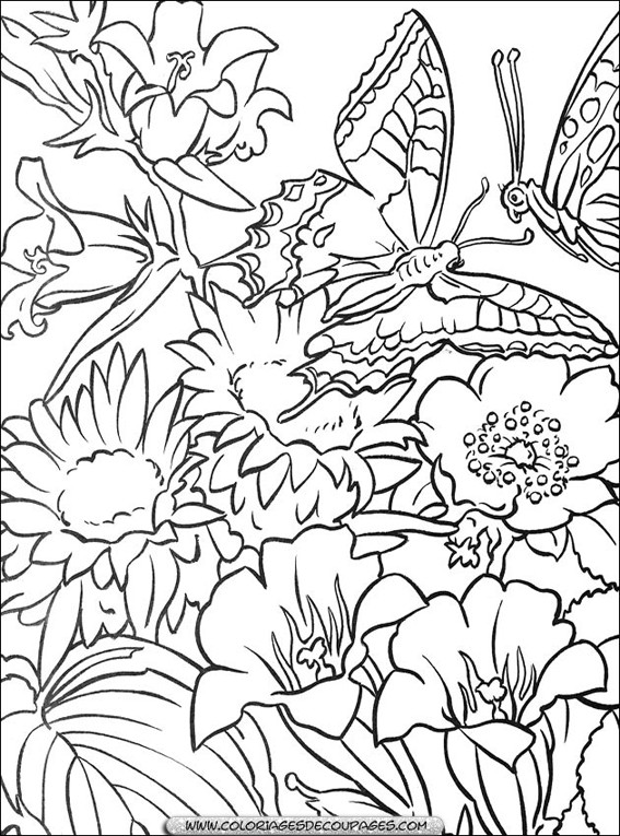 Coloriage Fleurs et papillons dessin gratuit à imprimer