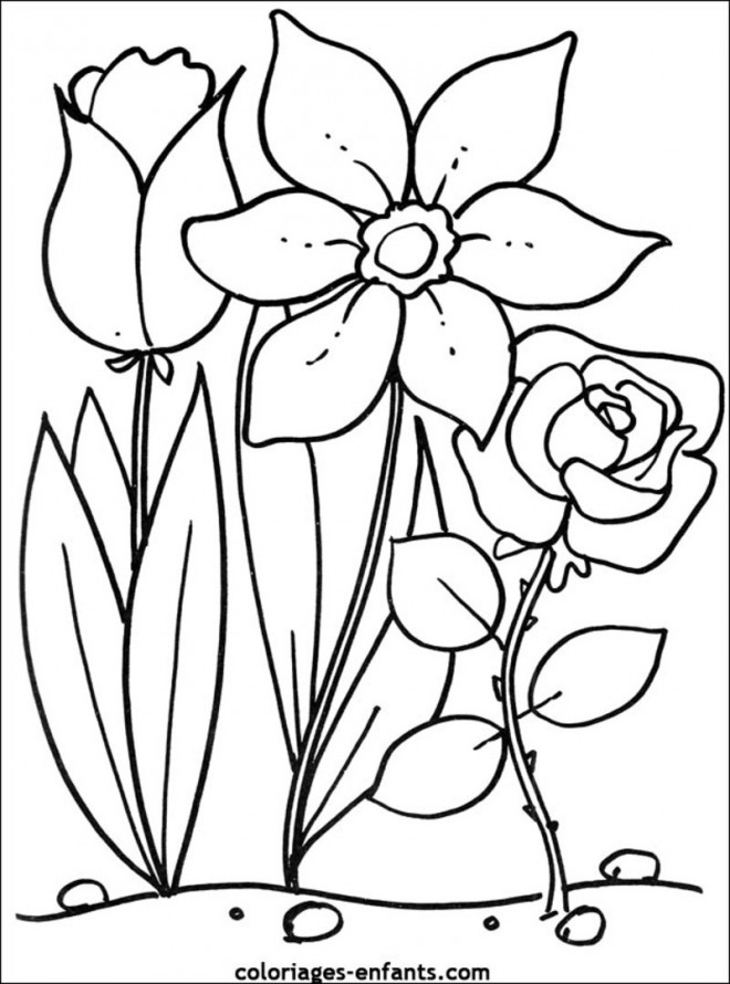Le Printemps Coloriage Gratuit