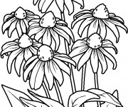 Coloriage Fleurs Violette