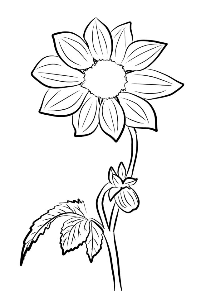 Coloriage et dessins gratuits La fleur Dahlia à imprimer