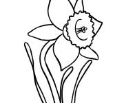 Coloriage La fleur de Jonquille