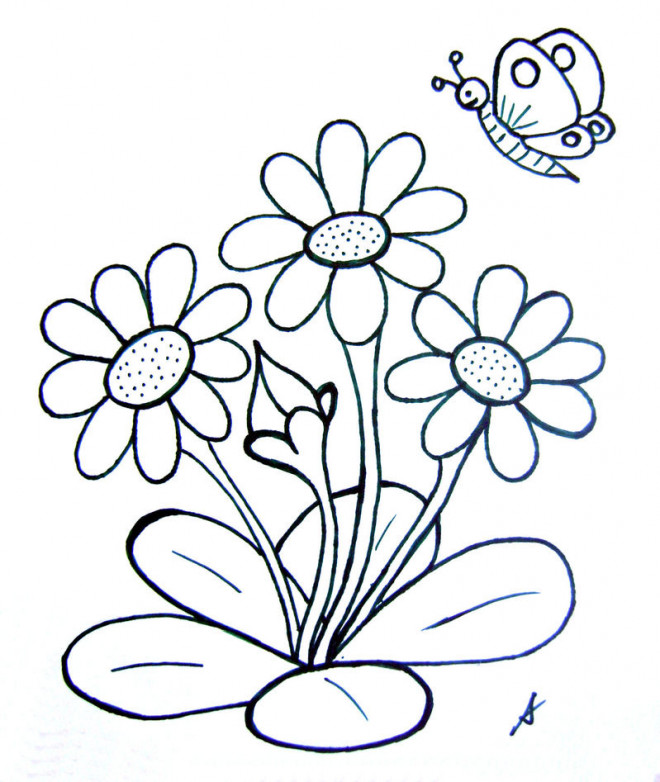 Coloriage Papillon Et Fleurs En Printemps Dessin Gratuit à