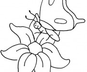 Coloriage Papillon sur Fleur
