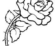 Coloriage Rose avec des épines