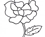 Coloriage Th&egrave;me Fleur