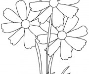 Coloriage Trois Fleur Adultes