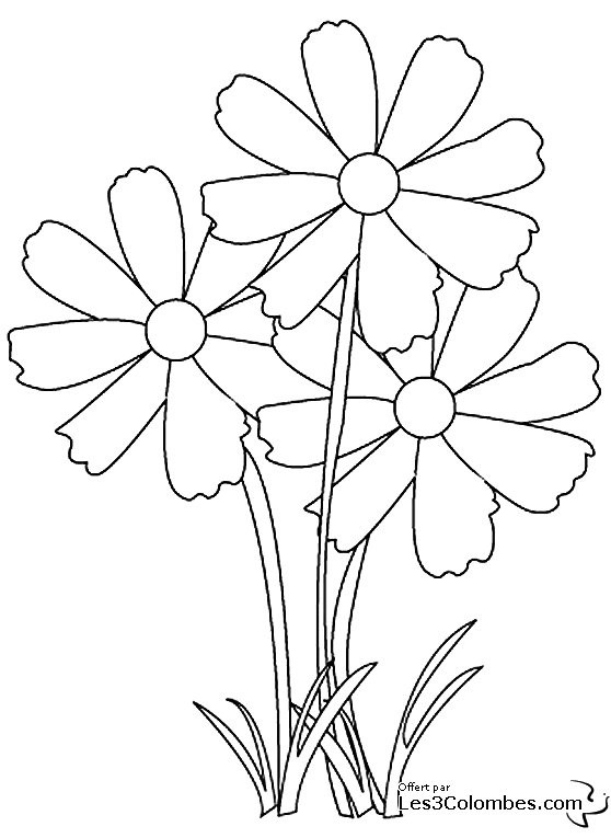 Coloriage et dessins gratuits Trois Fleur Adultes à imprimer