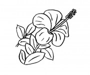 Coloriage Une belle Fleur