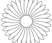 Coloriage Une jolie Fleur
