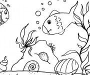 Coloriage Cr&eacute;atures de la mer