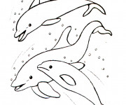 Coloriage Dauphins en famille dans la mer