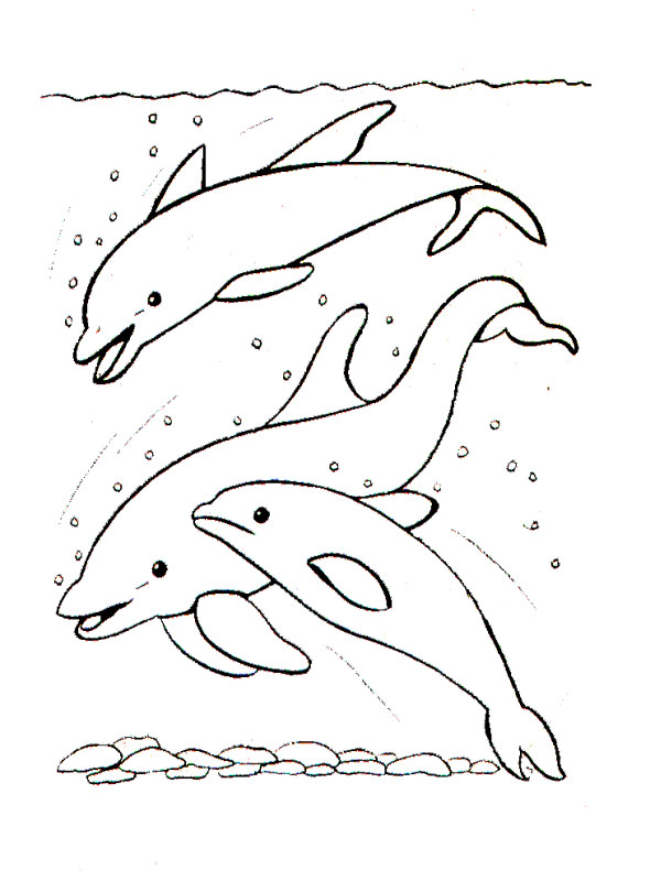 Coloriage et dessins gratuits Dauphins en famille dans la mer à imprimer