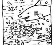 Coloriage et dessins gratuit Fond de mer à imprimer