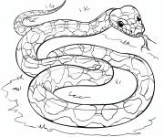 Coloriage Anaconda tropicale