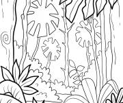 Coloriage Arbres et v&eacute;g&eacute;tation de la for&ecirc;t tropicale