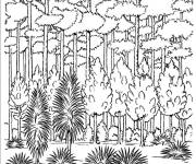 Coloriage Arbres forestiers