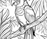 Coloriage Beau oiseau de type Ara