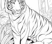 Coloriage Beau tigre dans la for&ecirc;t tropicale