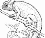 Coloriage et dessins gratuit Cam&eacute;l&eacute;on en noir et blanc à imprimer