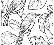 Coloriage Des beaux oiseaux tropicaux