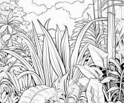 Coloriage Des plantes de la jungle