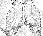 Coloriage Deux oiseaux tropicaux