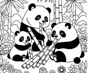 Coloriage Famille des pandas dans la foret tropicale