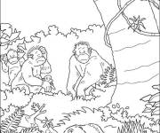 Coloriage Famille des singes