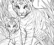 Coloriage F&eacute;lins sauvages dans la foret tropicale