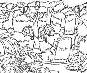 Coloriage et dessins gratuit Foret tropical au crayon à imprimer