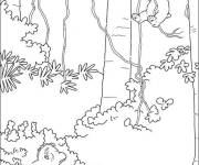 Coloriage Foret tropicale dans le dessin anim&eacute; Plume