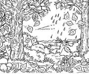 Coloriage Foret tropicale en automne