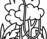 Coloriage for&ecirc;t tropicale en maternelle