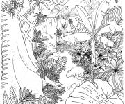 Coloriage Foret tropicale extraordinaire