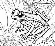 Coloriage Grenouille venimeuse qui vit dans la foret tropicale