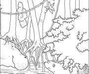 Coloriage Hippopotame dans la foret tropicale