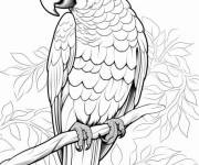Coloriage Image d'un perroquet ara