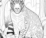 Coloriage Jaguar assis dans la foret