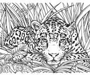 Coloriage Jaguar qui vit dans la foret tropicale