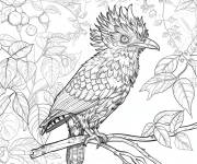 Coloriage L'oiseau Hoazin tropical