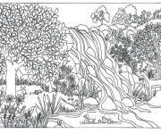Coloriage La nature de la for&ecirc;t tropicale