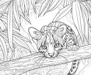 Coloriage Le chasseur Ocelot tropicale