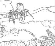 Coloriage Les animaux amis dans la foret tropicale