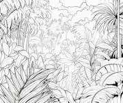 Coloriage Les arbres de la foret tropicale