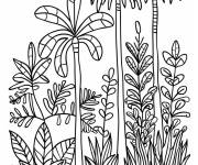 Coloriage Les arbres tropicaux en ligne