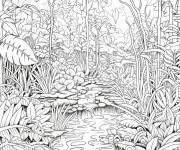 Coloriage Les couches de la for&ecirc;t tropicale